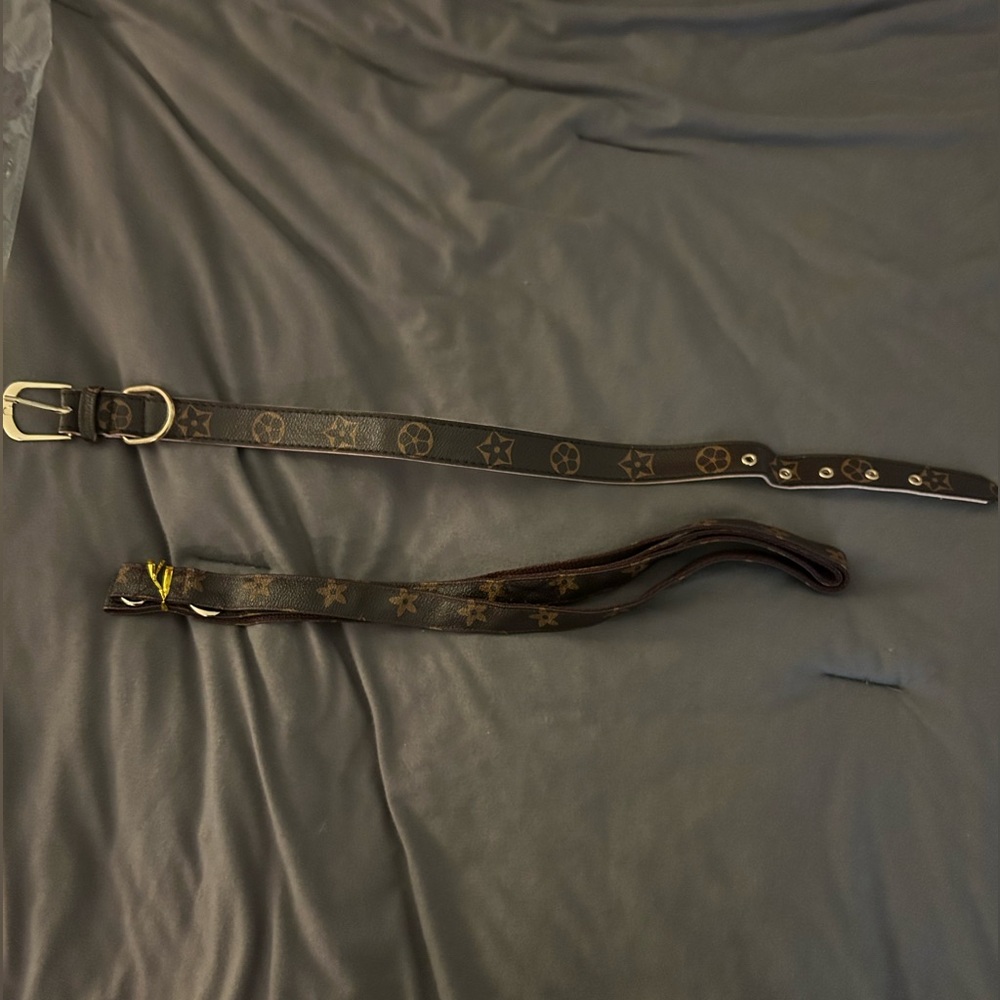 Louis Vutton-Like Pattern Collar and Leash
